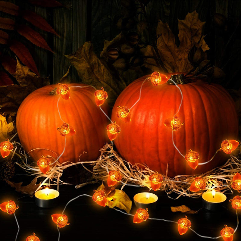 3D Acorn Harvest String Lights