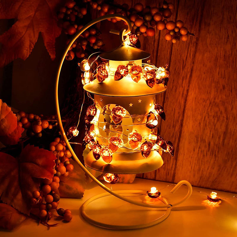 3D Acorn Harvest String Lights